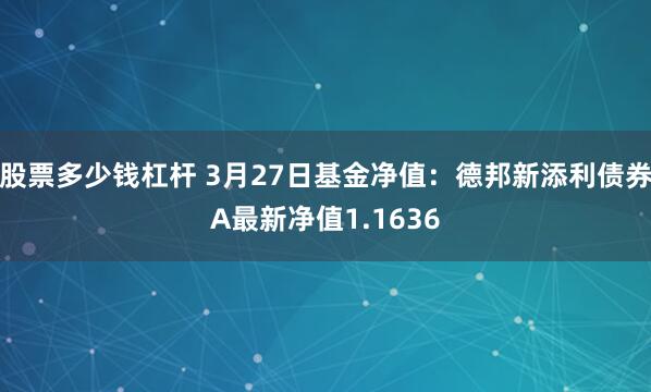 股票多少钱杠杆 3月27日基金净值：德邦新添利债券A最新净值1.1636