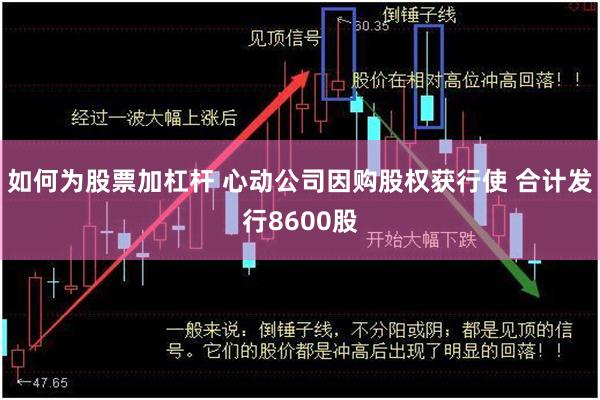 如何为股票加杠杆 心动公司因购股权获行使 合计发行8600股