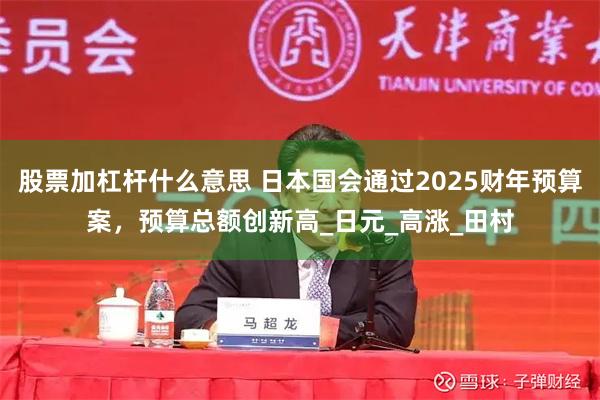 股票加杠杆什么意思 日本国会通过2025财年预算案，预算总额创新高_日元_高涨_田村