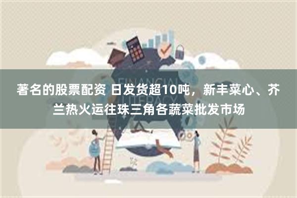 著名的股票配资 日发货超10吨，新丰菜心、芥兰热火运往珠三角各蔬菜批发市场
