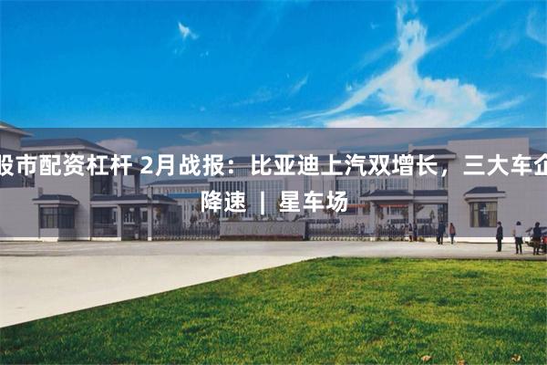 股市配资杠杆 2月战报：比亚迪上汽双增长，三大车企降速  |  星车场
