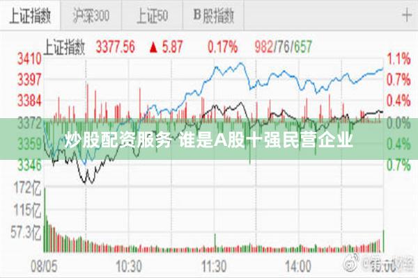 炒股配资服务 谁是A股十强民营企业