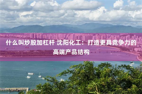 什么叫炒股加杠杆 沈阳化工：打造更具竞争力的高端产品结构