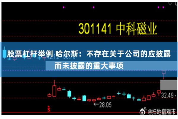 股票杠杆举例 哈尔斯：不存在关于公司的应披露而未披露的重大事项